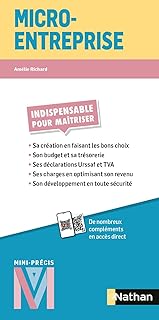 Micro-entreprise - Mini-Précis - La collection indispensable pour maitriser l